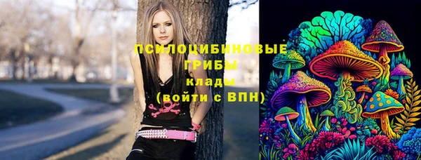 МДМА Заволжск