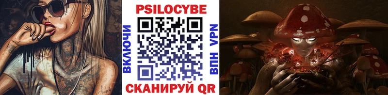 Псилоцибиновые грибы мицелий  Купить где  Княгинино 